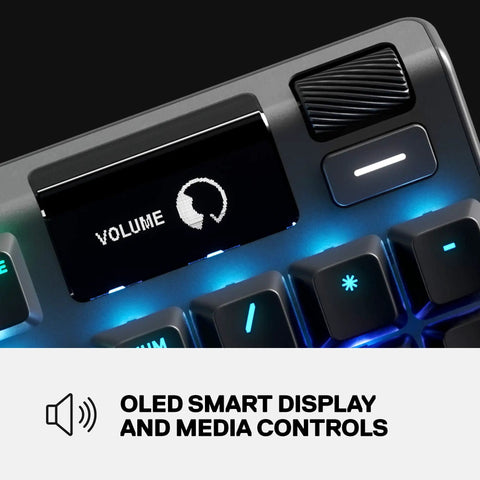 Top Tier Mechanical Gaming Keyboard Featuring Integrated OLED Display USB Passthrough Media Controls Heavy Duty Aluminum Housing Tactile Clicky Blue Switches Full Spectrum RGB Lighting For Gamers showing OLED smart display and volume controls.