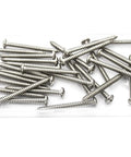Thirty Piece Heavy Duty Stainless Steel Screws Number Ten By Two Inch Self Tapping Pan Head Wood And Metal Fasteners Zero Rust Top Shelf Cross Drive Hardware Bulk Lot in a tray.