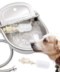 Heavy Duty Automatic Pet Water Bowl Stainless Steel Self Filling Dispenser For Dogs Cats Ducks Goats And Small Livestock Farm Yard with bowl and dog.