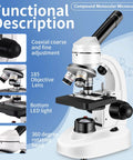 Budget Friendly Compound Microscope With 4X 10X 40X Glass Objectives And 10X 25X Eyepieces Delivering 40X 100X 250X 400X And 2000X Magnification showing controls and lenses