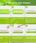 Step-by-step guide for using 12 Pack Green Seed Sprouter Trays With Lid For Soil Free Germination Indoors Outdoors No Fuss Fodder Sprouting