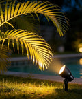 12V Low Voltage LED Landscape Spotlights, 3W Each, 200 Lumen, 3000K Warm White illuminating a palm tree at night near a pool.