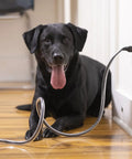 XL 20 Feet Heavy Duty Pet Cord Protector For Tough Chewers Dogs And Cats Keeps Them From Chewing Insulated Wires Unscented Odorless