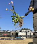 Weed Puller Tool With 48 Inch Long Handle And Soft Foam Grip uprooting a weed, close-up view of V-shaped forks and grip