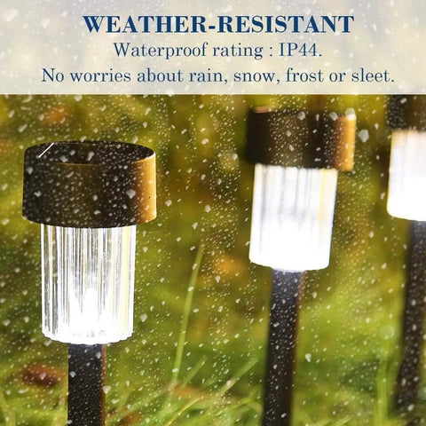 12 Pack Solar Pathway Lights For Outdoor Landscape Lawn Patio Garden Walkways And Driveways No Wiring No Fuss Setup Auto On At Dusk Energy Saving Easy Install Weatherproof Stakes And Durable Yard Decor showcasing weather resistance in rain
