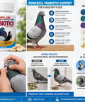 Probiotics Extra Strength For Pigeons With Immune Support And Digestive Health 100 Tablets product poster with benefits and usage