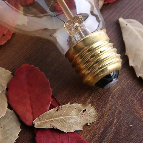 Close-up of Vintage Edison Style G25 Globe Bulb with E26 base on wood and leaves