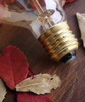 G25 Globe Edison Light Bulb 60W Vintage Round Amber Glass Dimmable Retro Incandescent With E26 Base next to autumn leaves