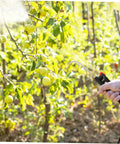 Extended Curved Sprayer Wand For Garden And Farm Use With Tough Stainless Steel Handle Compatible With Backpack Sprayers Delivers Precise Coverage For Crops And Plants focused on spraying apple trees