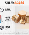 Brass Hex Pipe Plug Fittings Kit With Four Sizes One Eighth Inch One Quarter Inch Three Eighth Inch One Half Inch NPT Male Threaded