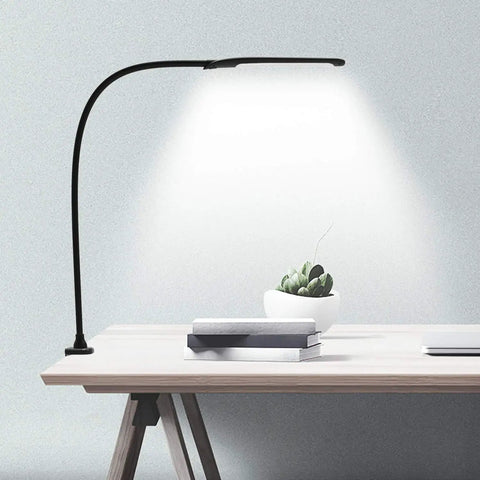 Boss Clamp Desk Lamp With Swing Arm And Gooseneck, Easy Touch Control, on a modern desk, illuminating books and plant.