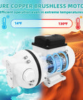 Beast Mode High-Flow DEF Transfer Pump 10.6 GPM Self Priming Electric Diaphragm Drum Pump motor in extreme temperatures