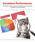 Infographic with vibrant colors and a magnified image of a kitten emphasizing excellent performance of ink cartridges.