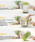 Wide Mouth Mason Jar Sprouting Kit Two Pack with BPA Free One Piece Lids and Built In Stand for Seed Germination in use
