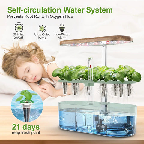 Indoor Hydroponic Garden System With 12 Pods And LED Grow Light showing aeroponic plants and water reservoir.