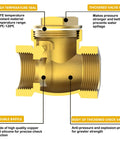 Brass 3/4 in NPT horizontal swing check valve, cutaway view showing internal components, Amazon BISS
