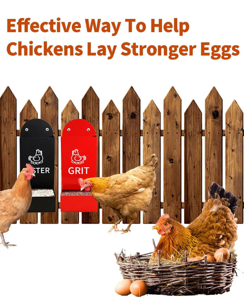 Heavy Duty Metal Chicken Oyster Shell And Grit Feeder With Smart Auto Dispenser Built For Backyard Folks Saves Daily Chore Stress And Keeps Your Hen House Rockin Solid Year After Year, featuring grit and oyster shell bins with chickens.