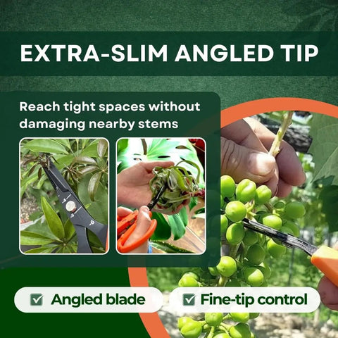 Workhorse 6.3 Inch Harvesting Shears With Magnetic Springless Action, ultra fine tip cutting green grape stems