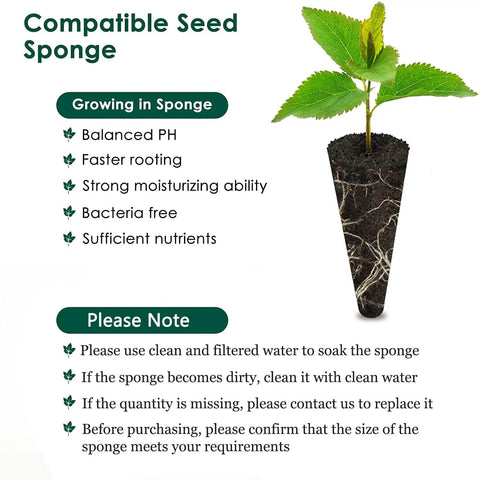 Image of a single grow sponge with a young plant, showcasing features for 50 Pack Grow Sponges For AeroGarden Compatible Seed Pods Replacement Root Growth Sponges Seedling Starter Kit Refills For Dope Hydroponic Indoor Garden System, including balanced pH and sufficient nutrients.