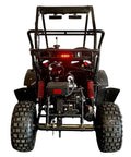 Rear view of 125cc Premium Two Seater Go Kart With Automatic Transmission And Reverse LED Headlights Safety Speed Governor