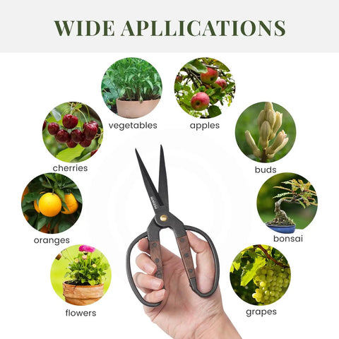 Hand holding Two Pack Walnut Grip Pruning Scissors with plant icons for gardening applications.