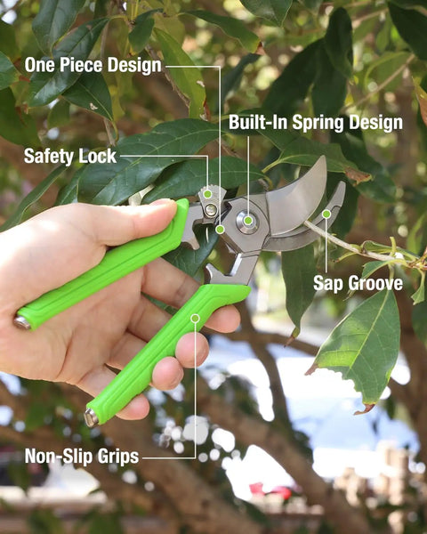Using 8.5 Inch Bypass Pruning Shears With Forged Stainless Steel Blades, Three Quarter Inch Cutting Capacity on tree branch