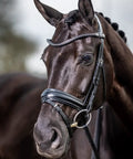 Kudos Classic Dressage Bridle in black full size with detachable clincher browband on horse, showing cushioned crank noseband detail