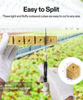 1 Inch Rockwool Cubes For Seed Starting And Cloning 200 Plugs For Hydroponics Propagation Media For Vigorous Growth Easy Cutting