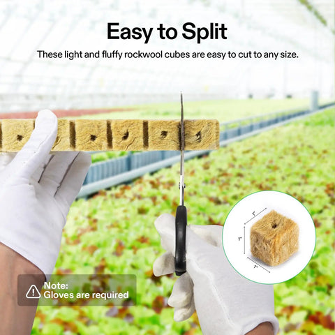 1 Inch Rockwool Cubes For Seed Starting And Cloning 200 Plugs For Hydroponics Propagation Media For Vigorous Growth Easy Cutting