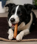 Dog chewing 100% Made In USA Beefhide 8-Inch Rolls Chew Treats For Dogs Beef And Chicken Flavor 10 Count Pack Tough Long Lasting Natural Rawhide Chews For Heavy Chewers Safe All Natural Treats on rug