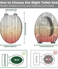 Elongated Quiet Close Toilet Seat for Bathroom measurement guide, showing sizes for proper fit and design details.