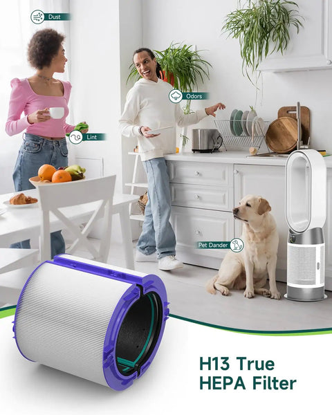 Couple with dog using 2 Pack TP04 Filter Replacement For TP04 HP04 DP04 Air Purifier. H13 True HEPA filter in foreground.