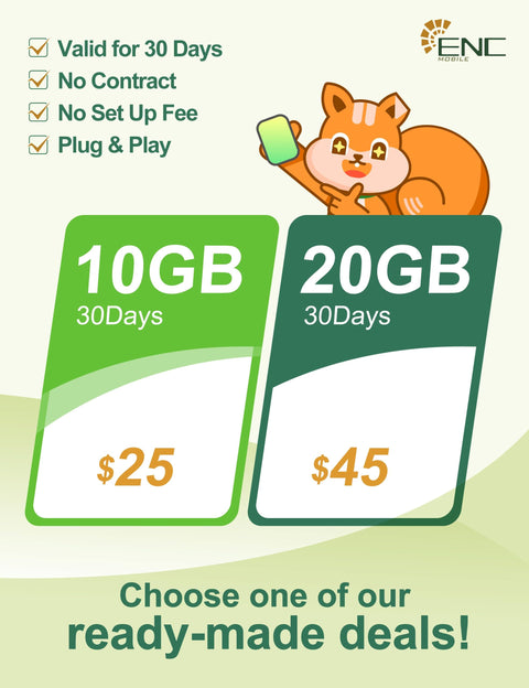 Price comparison for 10GB and 20GB data plans, highlighting Go To Global Travel Data SIM Card With 20GB High Speed 5G and 4G LTE 30 Day Data Plan Unlimited Data At Reduced Speed 3 In 1 Prepaid Travel SIM For US Europe New Zealand And 44 Global Destinations