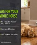 Kicks Mice To The Curb With This Heavy Duty Peppermint And Cinnamon Mouse Repellent Pouches Pack Of 10 on wooden floor with cat.