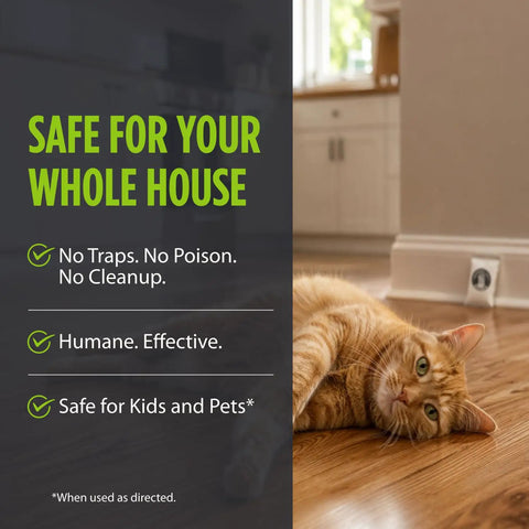 Kicks Mice To The Curb With This Heavy Duty Peppermint And Cinnamon Mouse Repellent Pouches Pack Of 10 on wooden floor with cat.