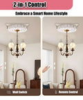 Heavy Duty Pendant Light Lifter 2-In-1 Chandelier Hoist With Electric Winch Remote Control And Wall Switch operation demo