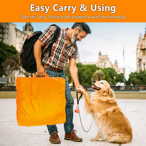 Man carrying All In One Dog Agility Training Kit while shaking hands with a golden retriever in a city setting.
