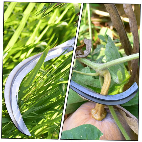 Two Piece Portable Reaping Hook For Gardening And Mowing Ergonomic Grip next to grass and a gourd stem being cut
