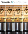 Five-Watt LED Candelabra Bulbs E26 Vintage Edison Filament used in dimmable lantern over kitchen island