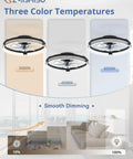 Totally Sleek Low Profile Ceiling Fan With Bright Light And Remote, 20 Inch Matte Black, Dope Smart App Control, Reversible Motor, Six Speed Settings, Sweet Dimmable Glow For Any Space showcasing three color temperatures and smooth dimming feature.