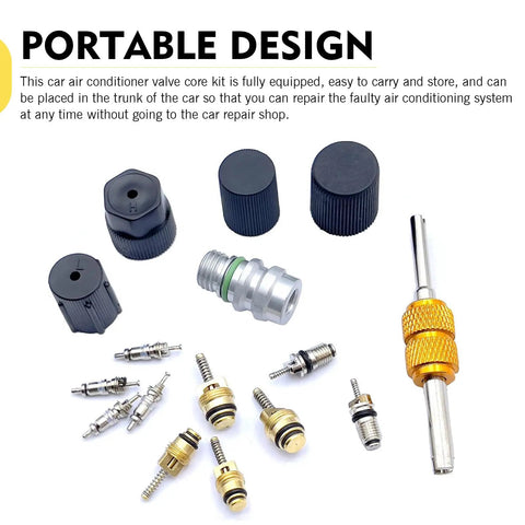 16 Piece Auto AC Valve Core Kit With R134A Cores And Seal Caps, Universal AC Service Port Repair Kit displayed on white background