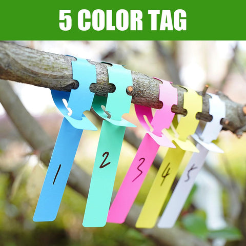 All In One Garden Grafting Tool Kit For Fruit Trees Pruning Scissors Set With Grafting Knife Replacement Blades Tapes Plant Tags And Clips Omega Graft Seedling Grafting System showing colorful plant tags on branch