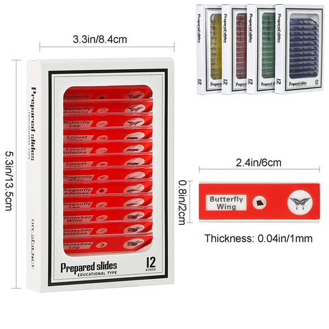 48 Piece Kids Microscope Slides With Prepared Specimens For Stereo Microscopes 12 kinds ABS plastic box and slide dimensions shown