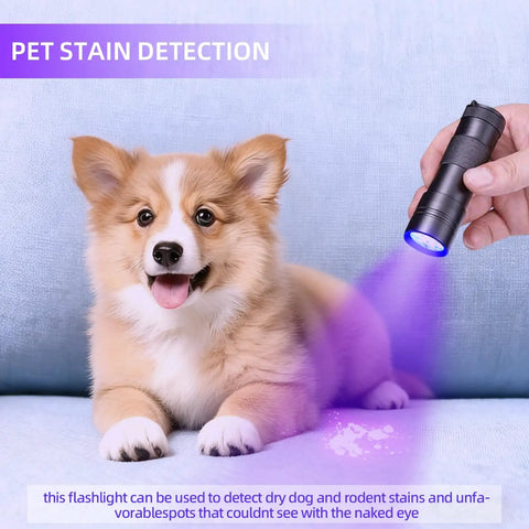 Person using Tiny But Mighty Portable UV Black Light Flashlight With 12 LEDs on sofa to detect hidden pet stains near a puppy.