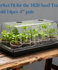 All In One Extra Tall 7.3 Inch Humidity Dome Seed Starter Tray Set with seedlings on wooden table