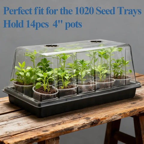 All In One Extra Tall 7.3 Inch Humidity Dome Seed Starter Tray Set with seedlings on wooden table