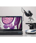 2.0MP Digital Microscope Camera For Still And Video Imaging With Editing And Measuring Software on microscope with laptop