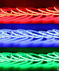 24V DC Color Changing RGBCCT Dotless COB LED Strip Lights in red, blue, and green light, high density 4200 LEDs, indoor use