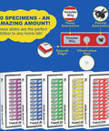 60 Piece Prepared Microscope Slides Set For Stereo Microscope With Plant Insect And Animal Tissue Specimens Great For Hands On Learning Classroom Ready And Home Science Experiments Student Friendly. 60 prepared slides set with labeled boxes and smooth edges for classroom use