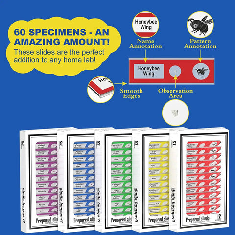 60 Piece Prepared Microscope Slides Set For Stereo Microscope With Plant Insect And Animal Tissue Specimens Great For Hands On Learning Classroom Ready And Home Science Experiments Student Friendly. 60 prepared slides set with labeled boxes and smooth edges for classroom use